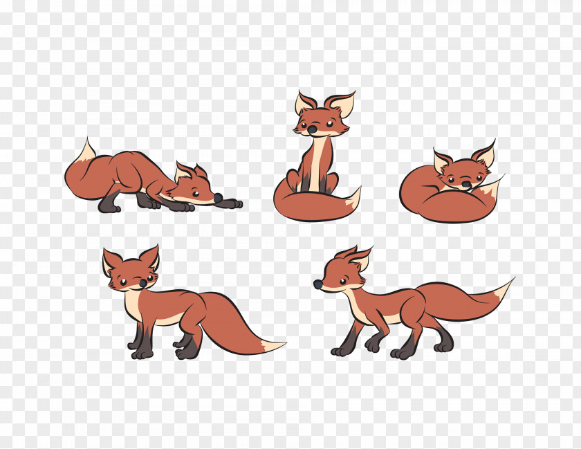Cat Red Fox Illustration Cartoon Drawing PNG