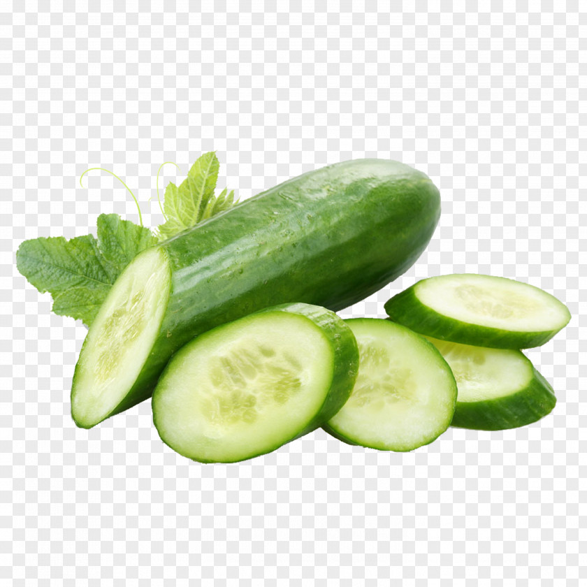 Cucumber Extract Vegetable Salad Food PNG