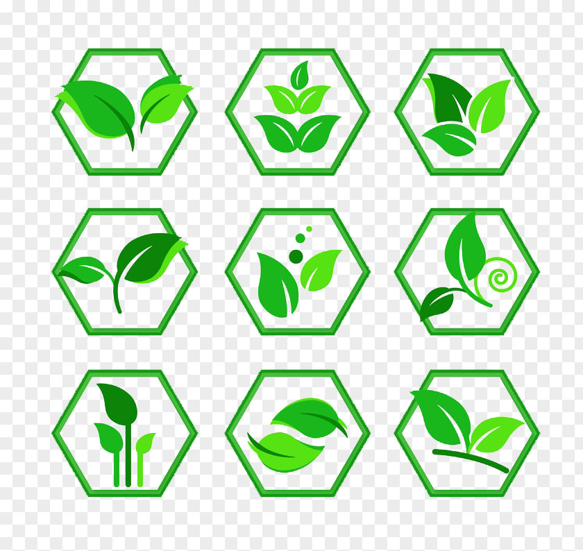 Diamond In The Plant Rhombus Clip Art PNG