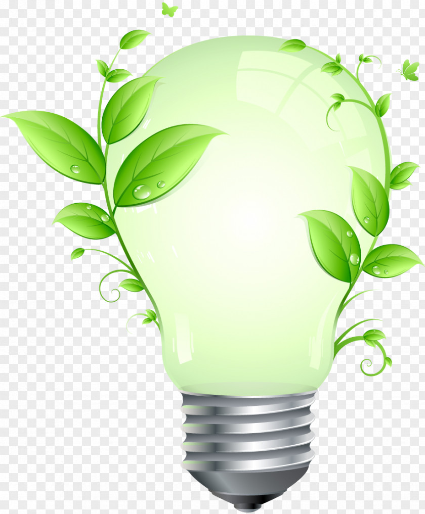 Energy Conservation Electricity Renewable Electric Power PNG