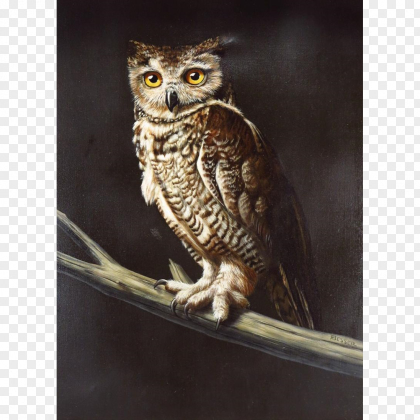 Owl Great Horned Oil Painting Photorealism PNG