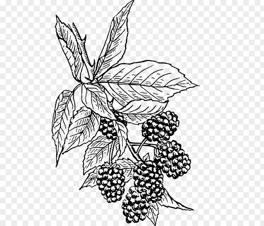 Blackberry BlackBerry KEY2 Torch Clip Art PNG