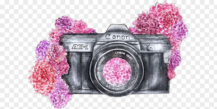 Camera Drawing Photography PNG