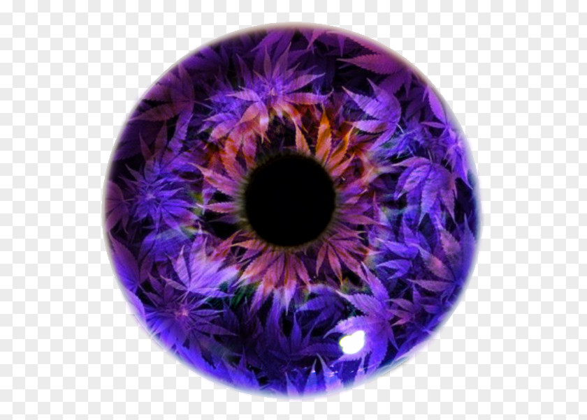 Eye Iris Pupil Violet Lens PNG