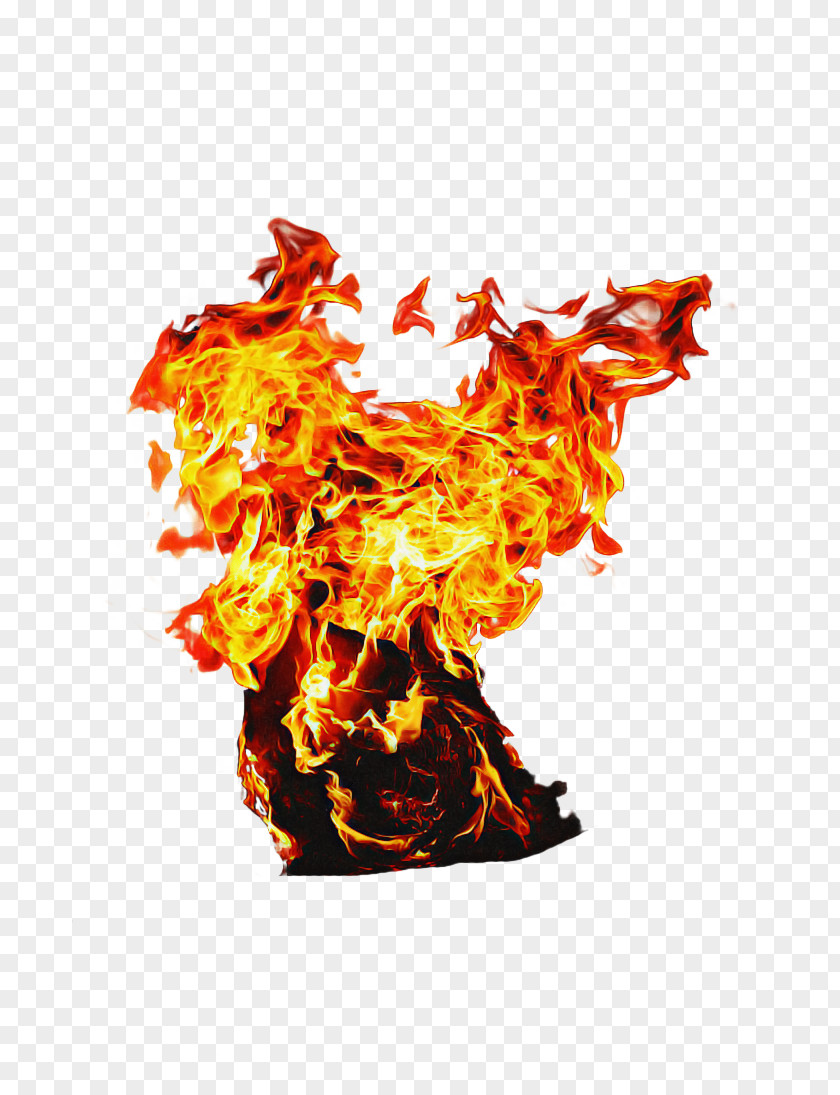 Fire Orange PNG