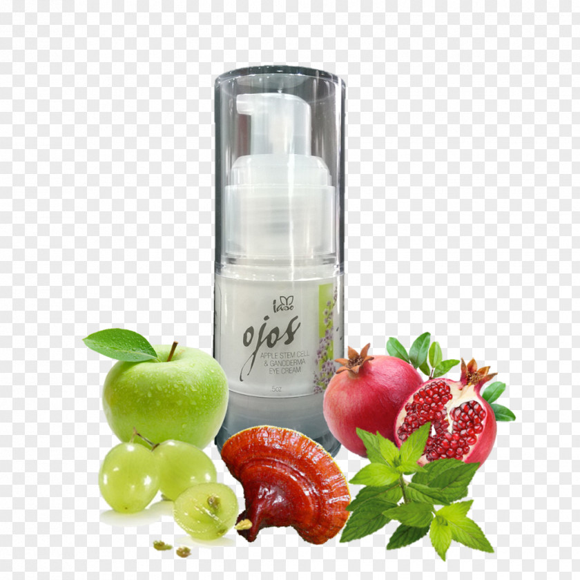 MANZANA VERDE Organic Food Pomegranate Juice Natural Foods Diet PNG