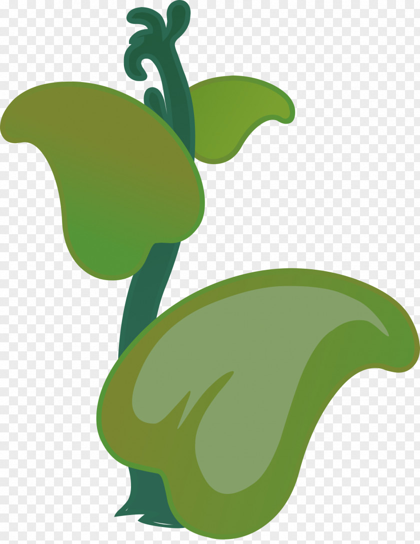 Tropical Plant Drawing Clip Art PNG