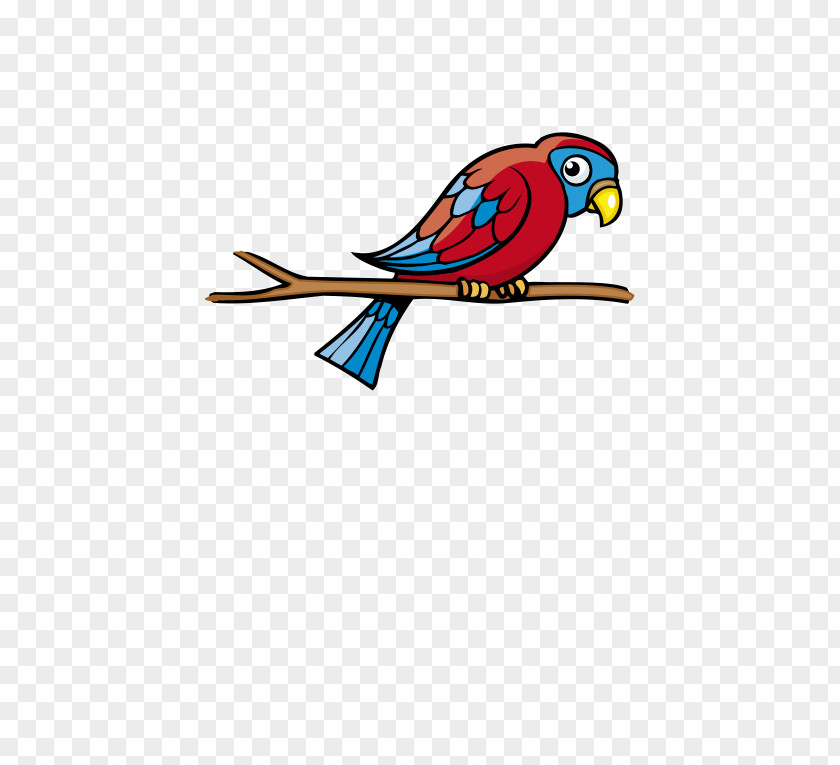 Cartoon Red Parrot Bird PNG