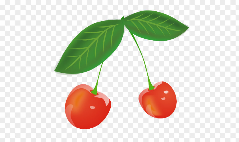 Cherry Picture Pie Muffin Fruit Clip Art PNG