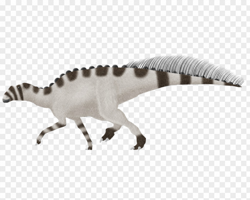 Gryposaurus Velociraptor Tyrannosaurus Jaw Terrestrial Animal PNG