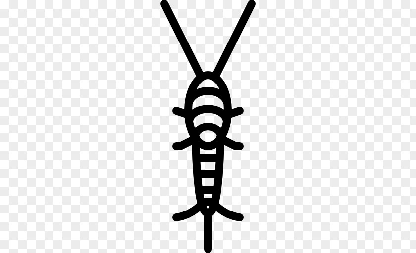 Insect Pest Silverfish Mosquito PNG