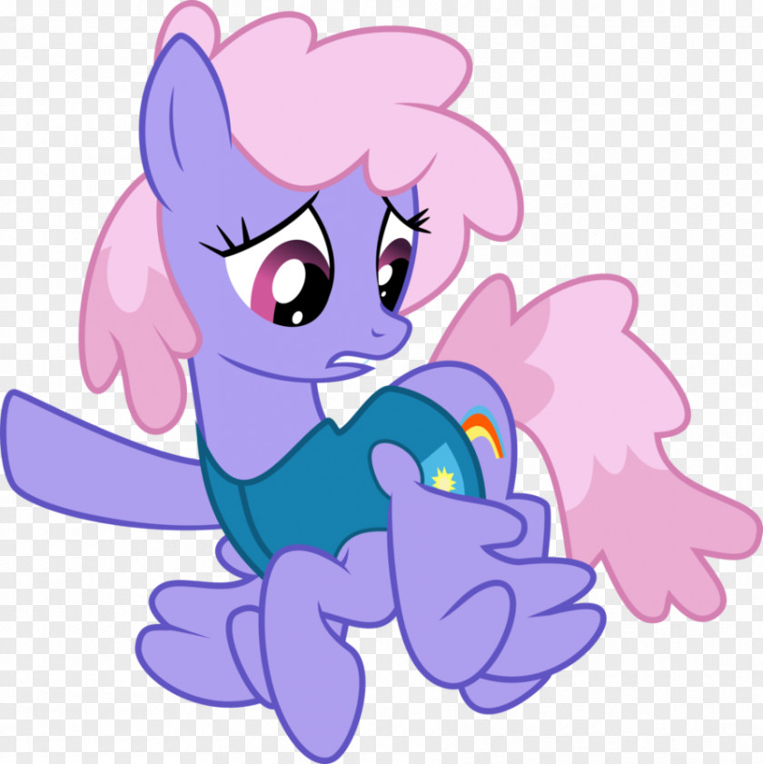 Mlp Cloudchaser Pony Ponies Rainbow Shops Winter Wrap Up PNG