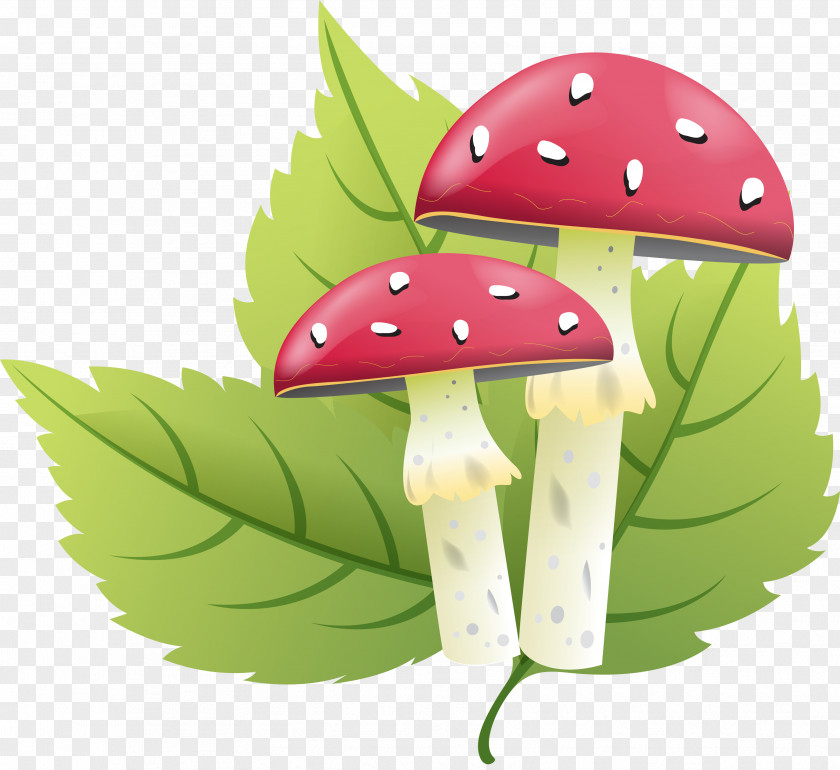 Mushroom Letter Fungus Amanita Clip Art PNG