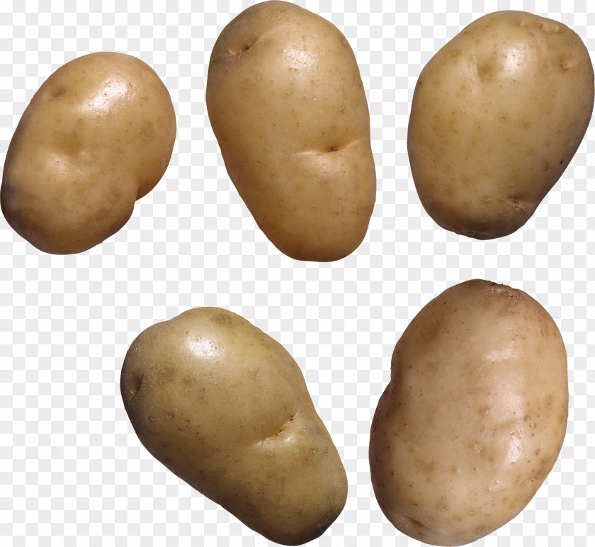 Potato Free Image Clip Art PNG