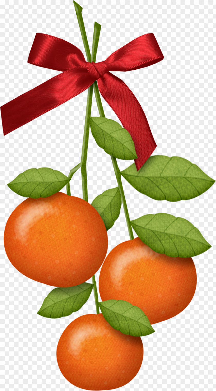 Chinese New Year Tangyuan Mandarin Orange PNG