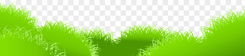 Free Grass Cliparts Sunlight Lawn Text Meadow Illustration PNG