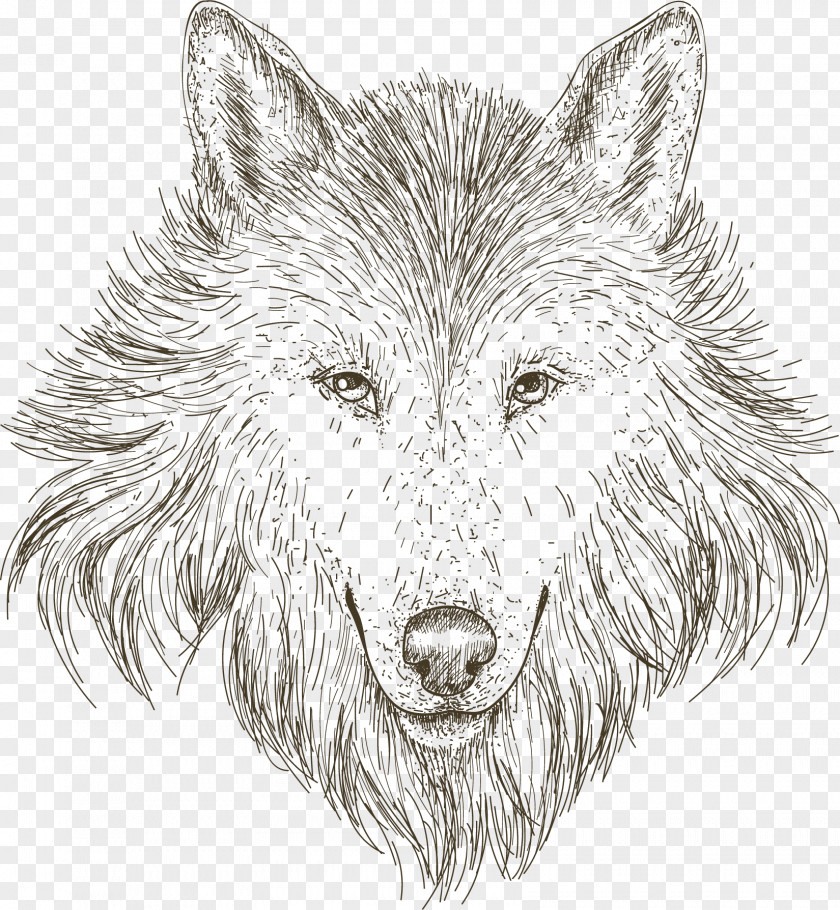 Hand-painted Sketch Wolf Head Gray Drawing PNG