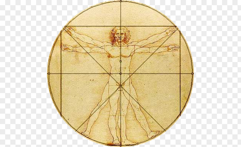 Mathematics Vitruvian Man Body Proportions Golden Ratio Drawing PNG