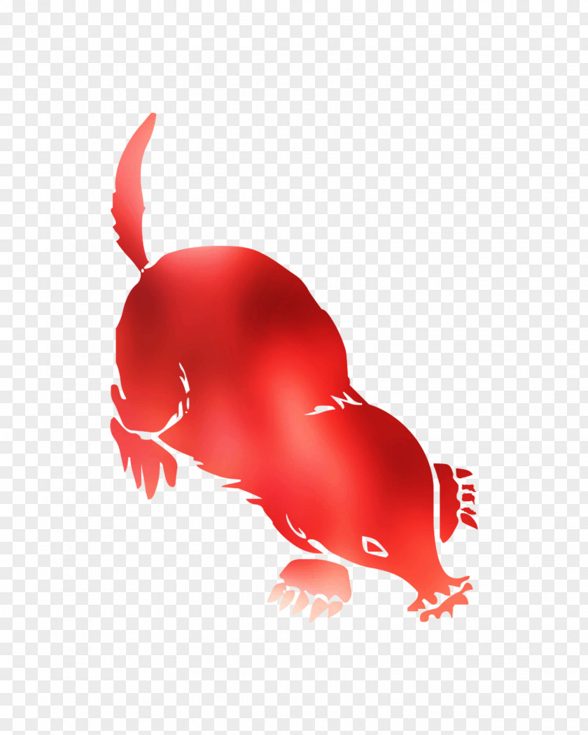 Rat Canidae Dog Chicken Mammal PNG