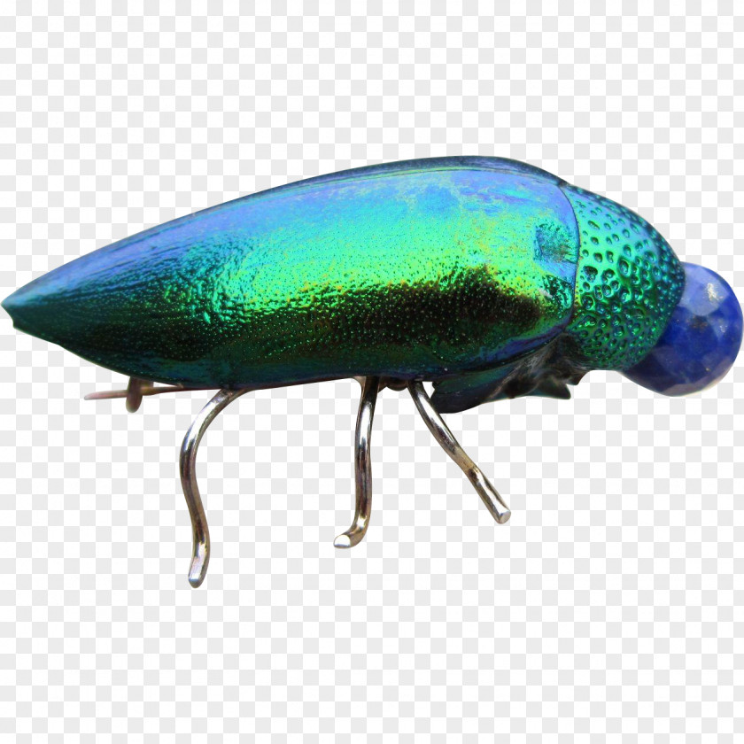 Beetle Fishing Bait Pest PNG