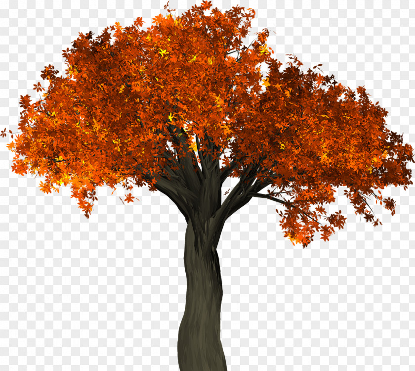 Falling Tree Autumn Leaf Color Trunk PNG