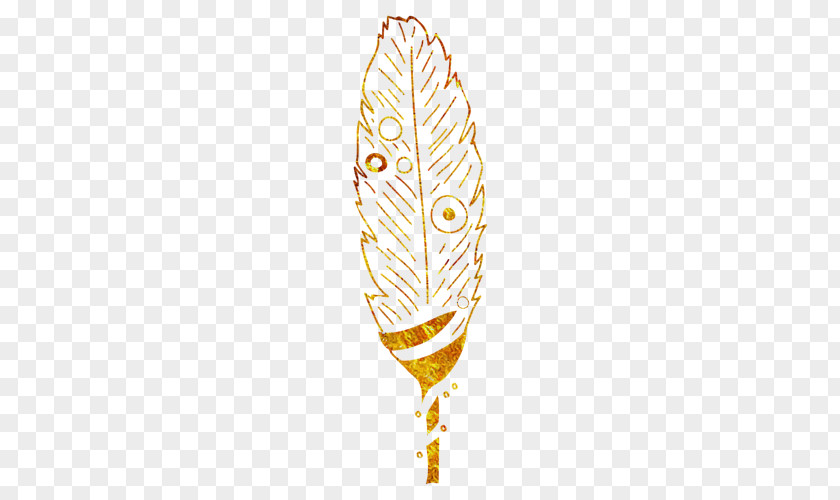 Feather PNG