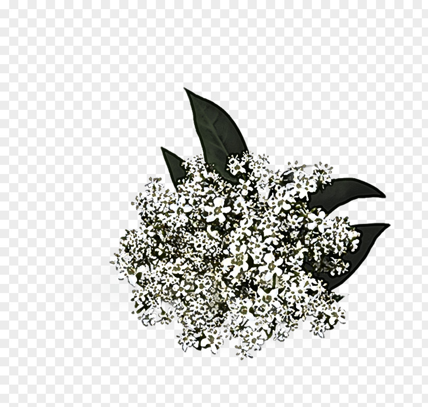 Flower Diamond Leaf Black-and-white Fashion Accessory Plant Brooch PNG