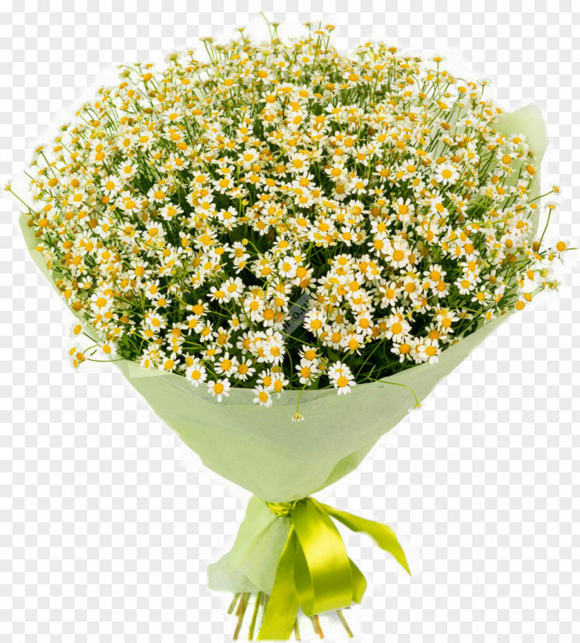 Camomile Flower Bouquet Tsvetochnyy Market Gift Matricaria PNG