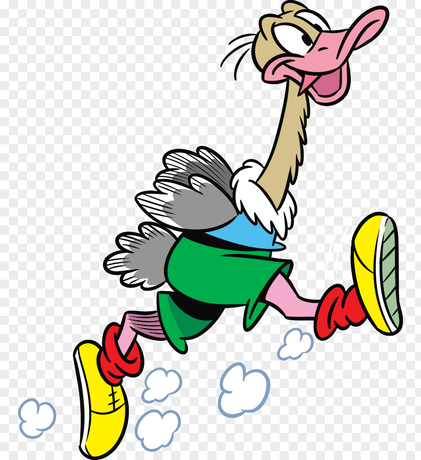 Cartoon Ostrich Common Illustration PNG
