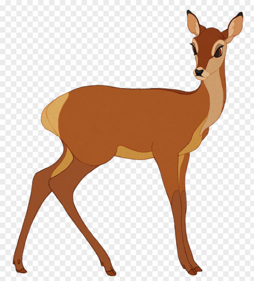 Deer White-tailed Musk Deers Antler Gazelle PNG