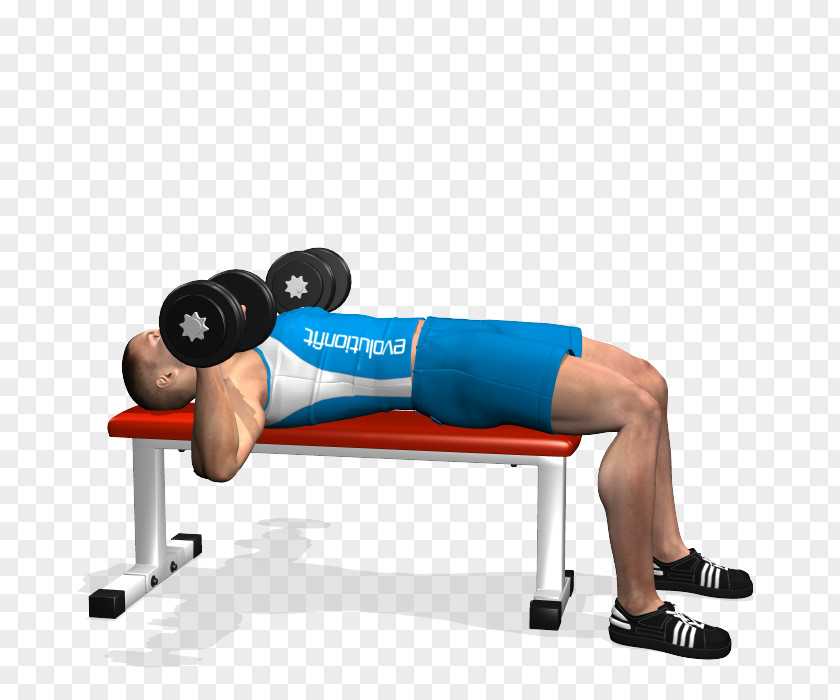 Dumbbell Bench Press Barbell Fly PNG