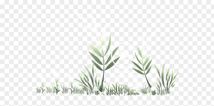 Eco-friendly Grasses Plant Stem Leaf Commodity Branching PNG