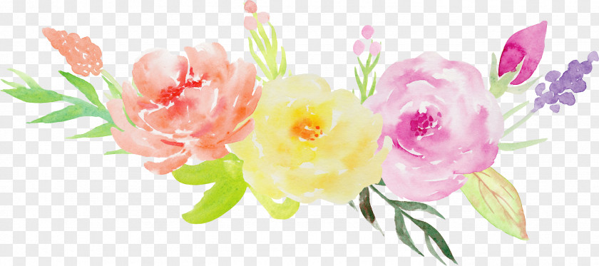 Hand-painted Watercolor Roses Decorative Elements PNG watercolor roses decorative elements clipart PNG
