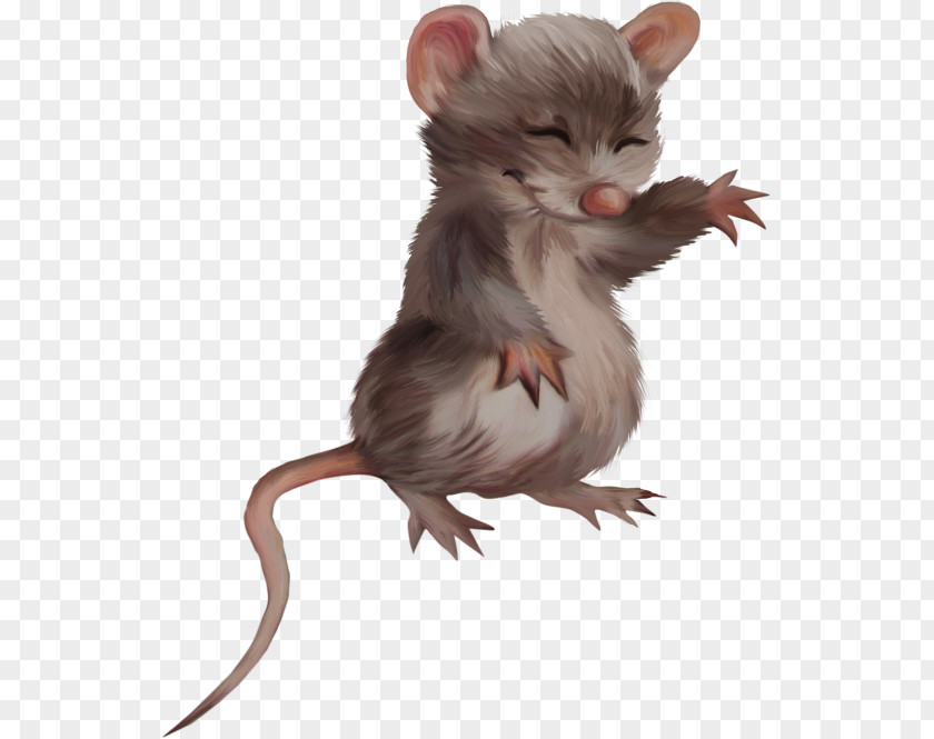 Rat Computer Mouse Rodent Mickey Krysa PNG