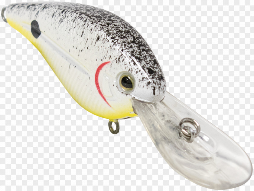 Design Spoon Lure Fish PNG