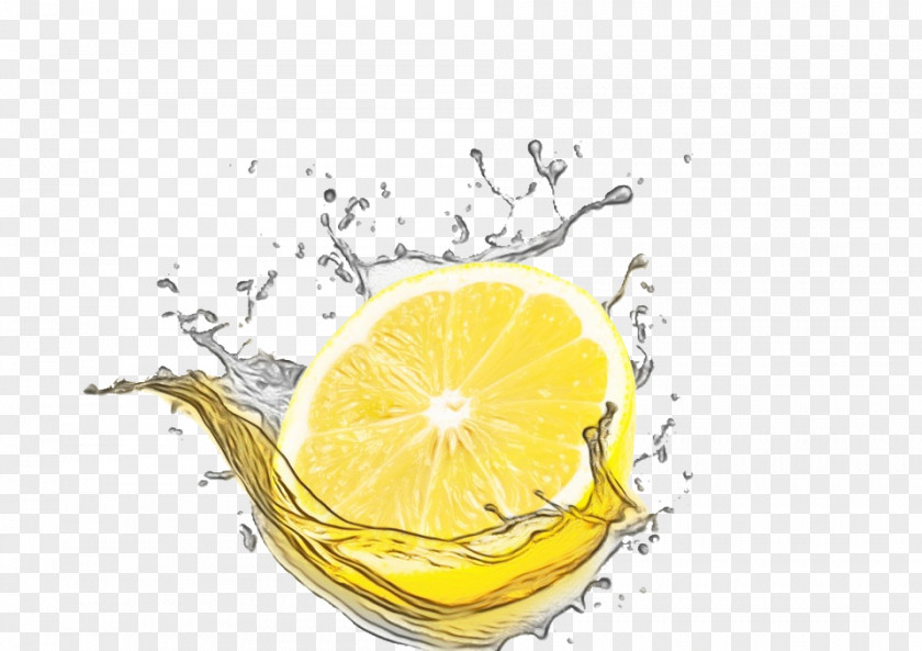 Lemonlime Lime Citrus Lemon Yellow Fruit Liquid PNG