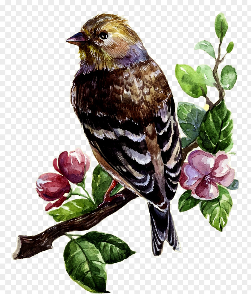 Oil Painting Bird Deduction Material Watercolor Drawing Clip Art PNG