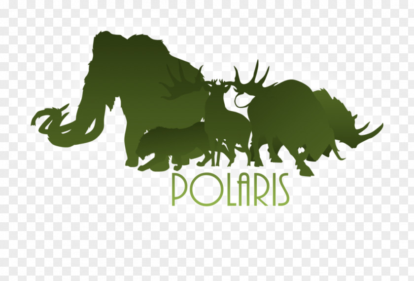 Polaris Logo Leaf Desktop Wallpaper Brand Font PNG