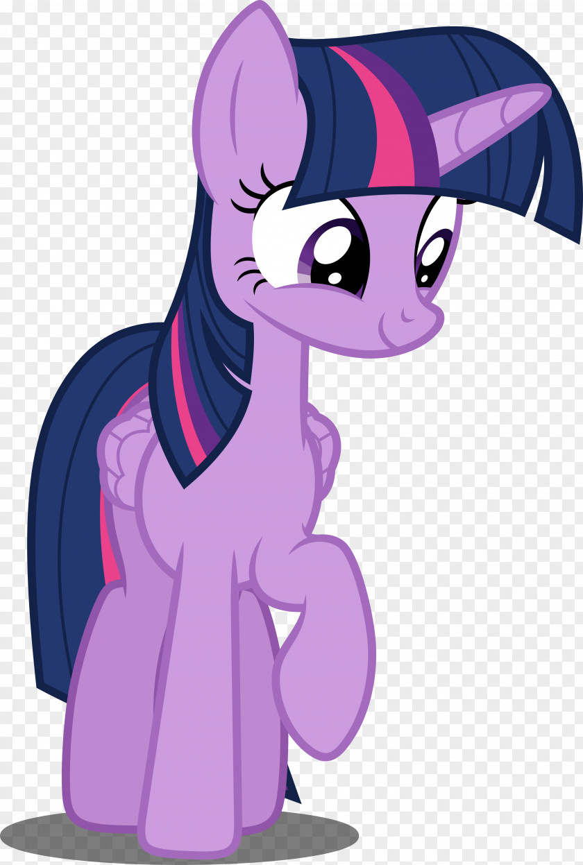 Twilight Sparkle Pinkie Pie Applejack Pony Rainbow Dash PNG