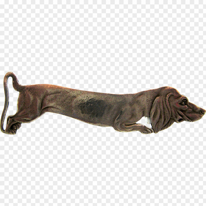 Dog Breed PNG