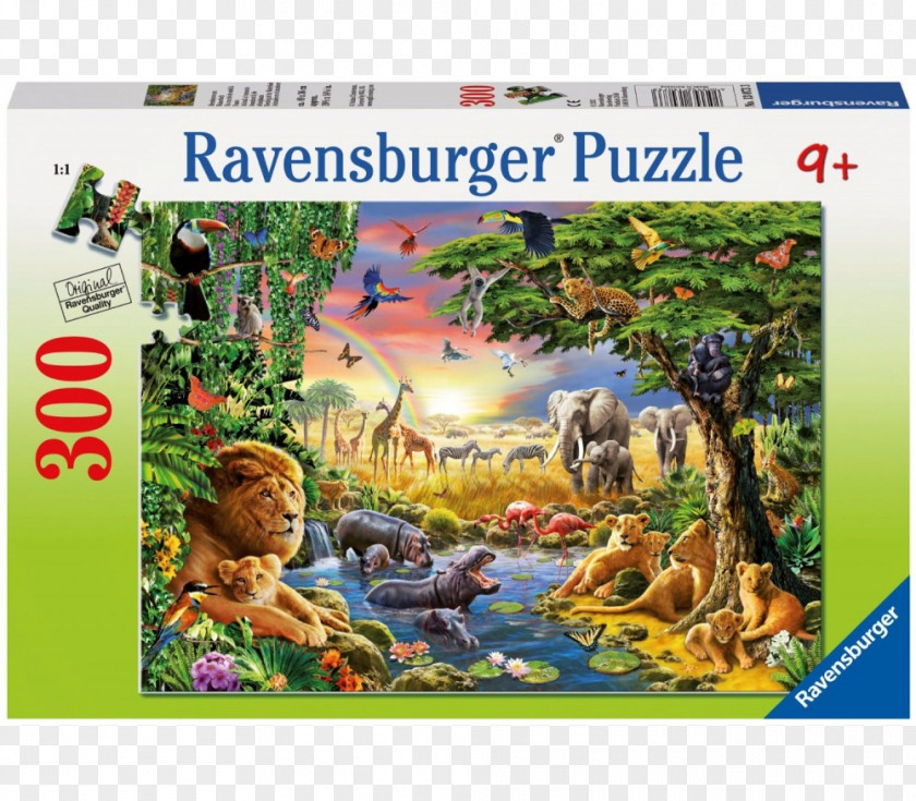 Educação Jigsaw Puzzles Ravensburger Puzzle Video Game PNG