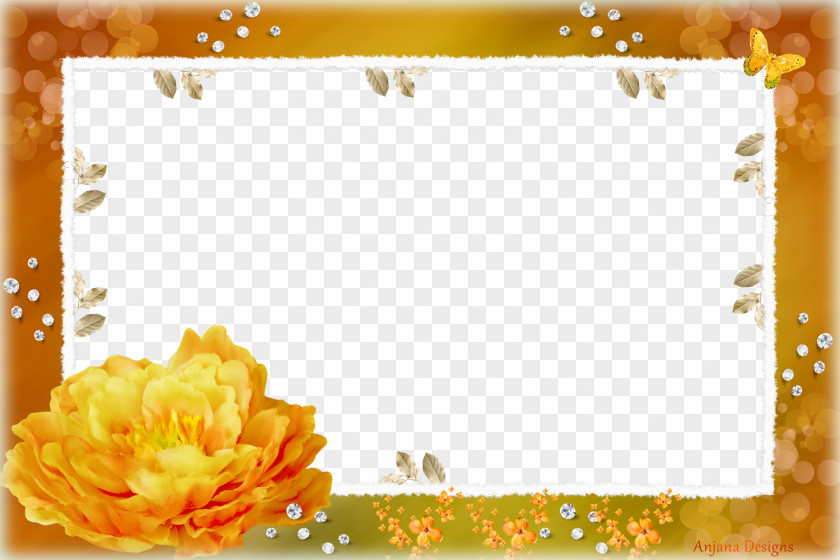 Frame Picture Frames Photography PNG