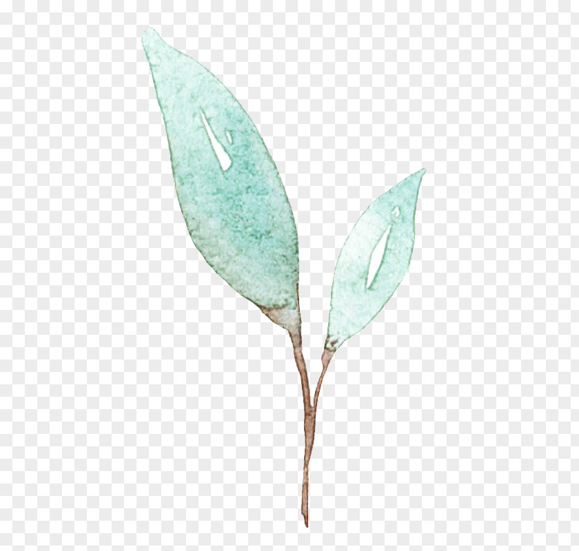 Leaf Plant Stem Lilac / M Turquoise PNG