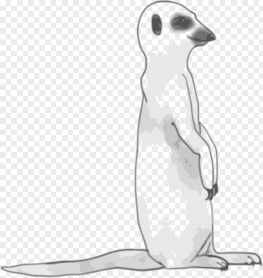 Meerkat Clip Art PNG