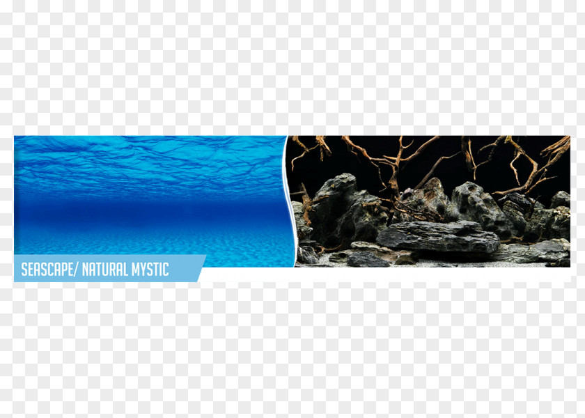 Seascape Image Aquarium BG Plastic Price Tetra PNG