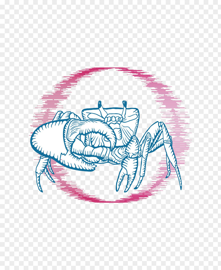 Sketch Crabs Crab Clip Art PNG