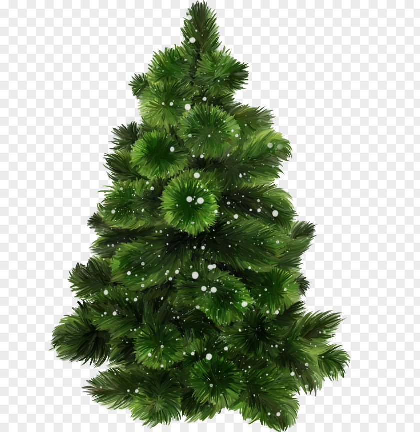 Christmas Tree New Year Santa Claus PNG