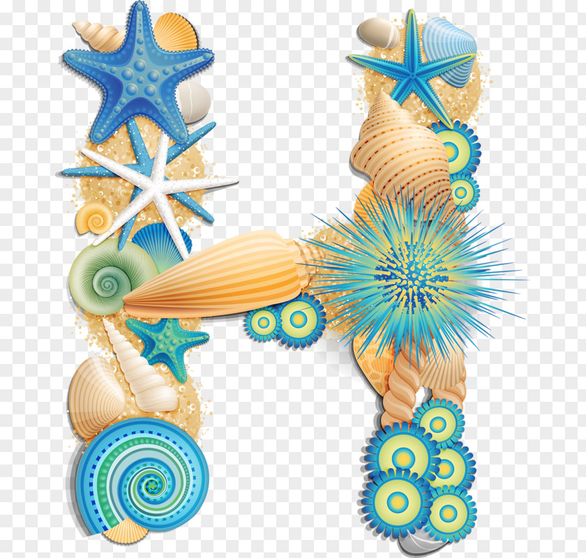 DIY Sea Shell Crowns Seashell Clip Art Letter Image PNG