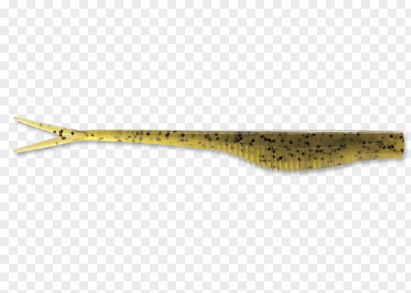 Fish Fishing Bait PNG