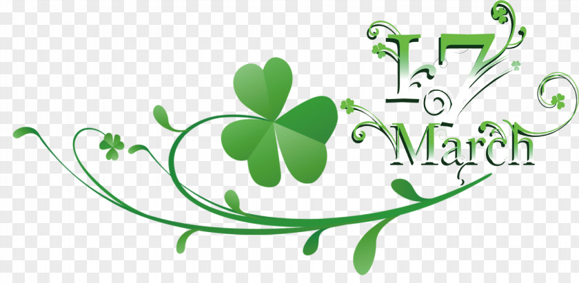 Leaf Plant Stem Logo Symbol Clover PNG